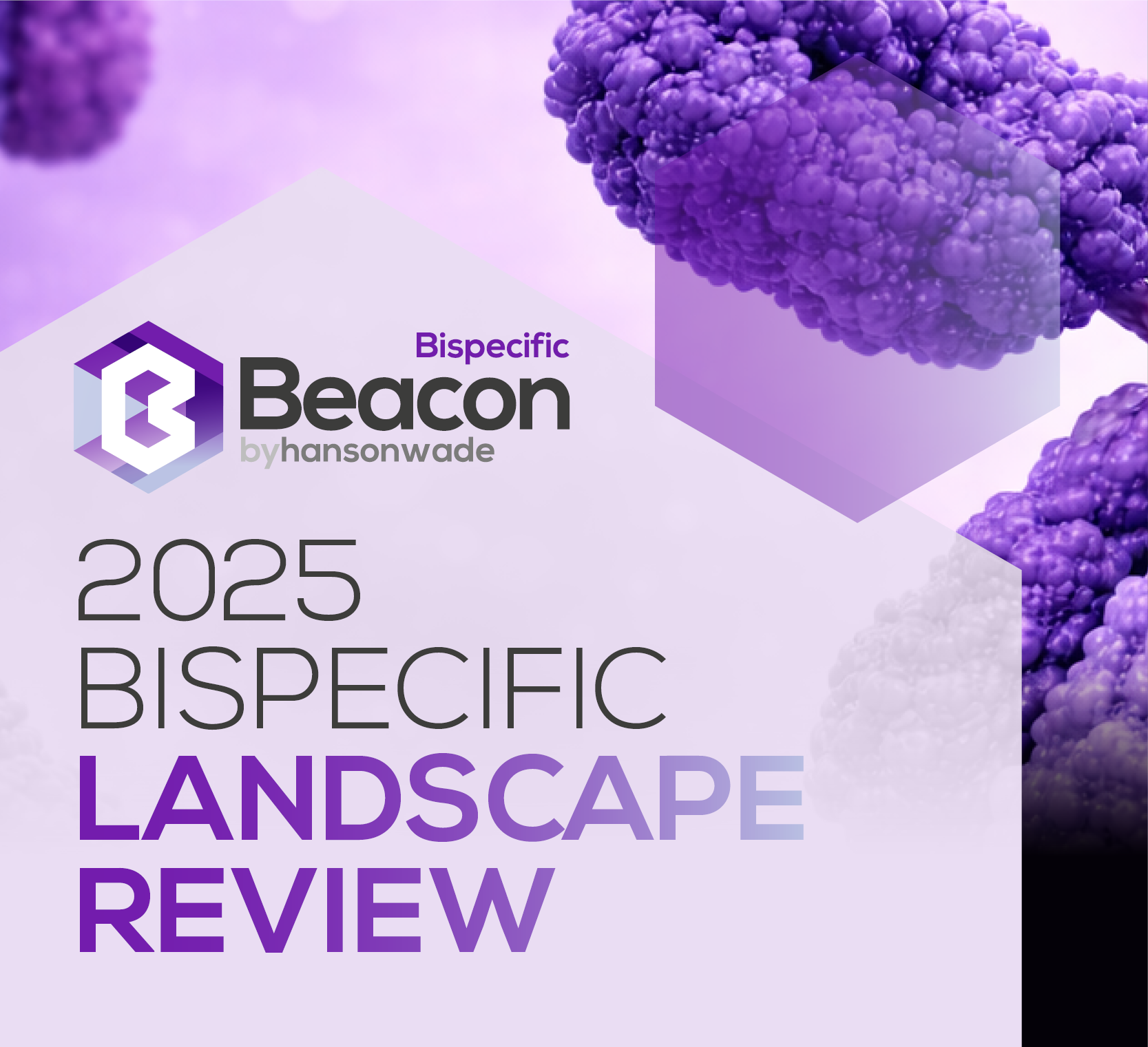 Bispecific 2025 Landscape Review