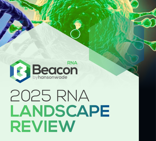 RNA 2025 Landscape Review