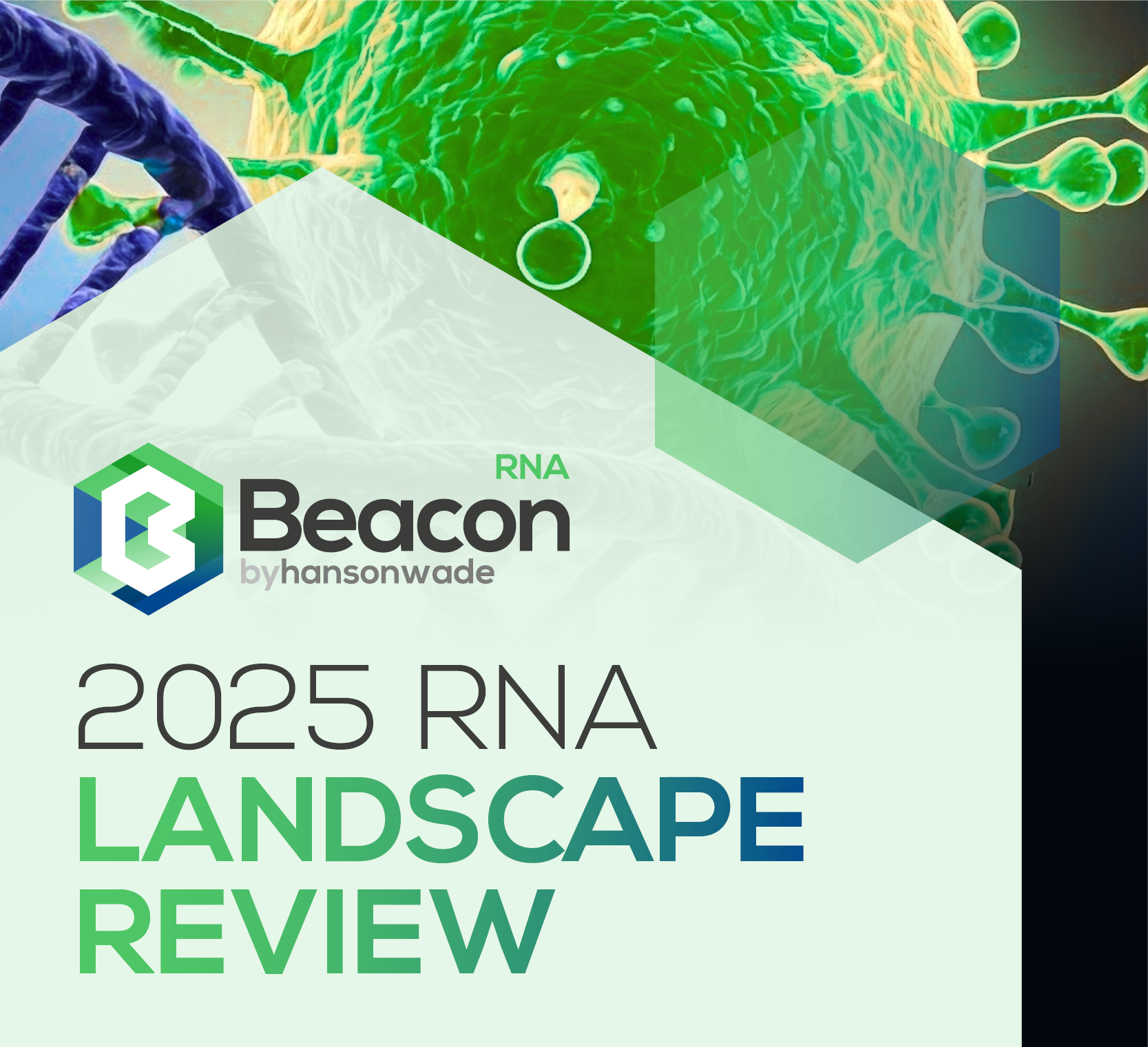 RNA 2025 Landscape Review