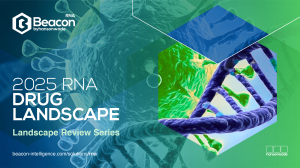 RNA Drug Landscape
