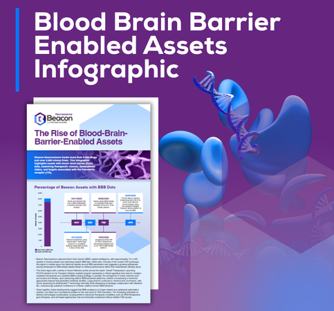 Blood Brain Barrier Infographic