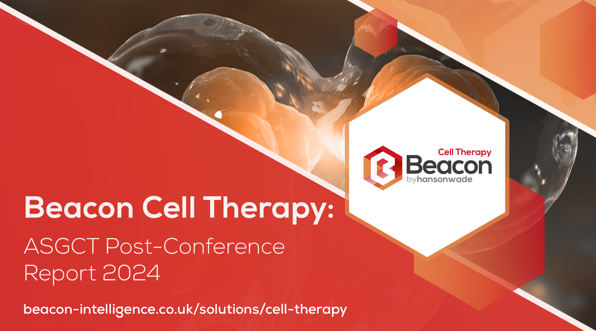 Beacon Beacon Cell Therapy 2024 ASGCT Annual Meeting Abstracts